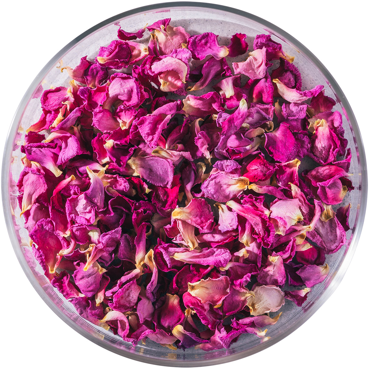Nobel Rose / ドライ ピンク《オーバーナイトセンセーション》10g