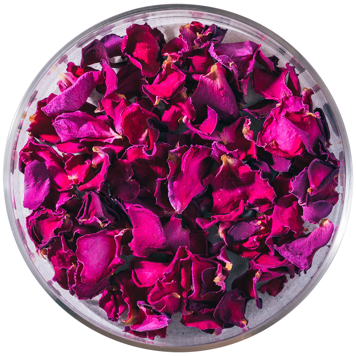 Nobel Rose / ドライ 大輪ピンク《イブピアッチェ》10g