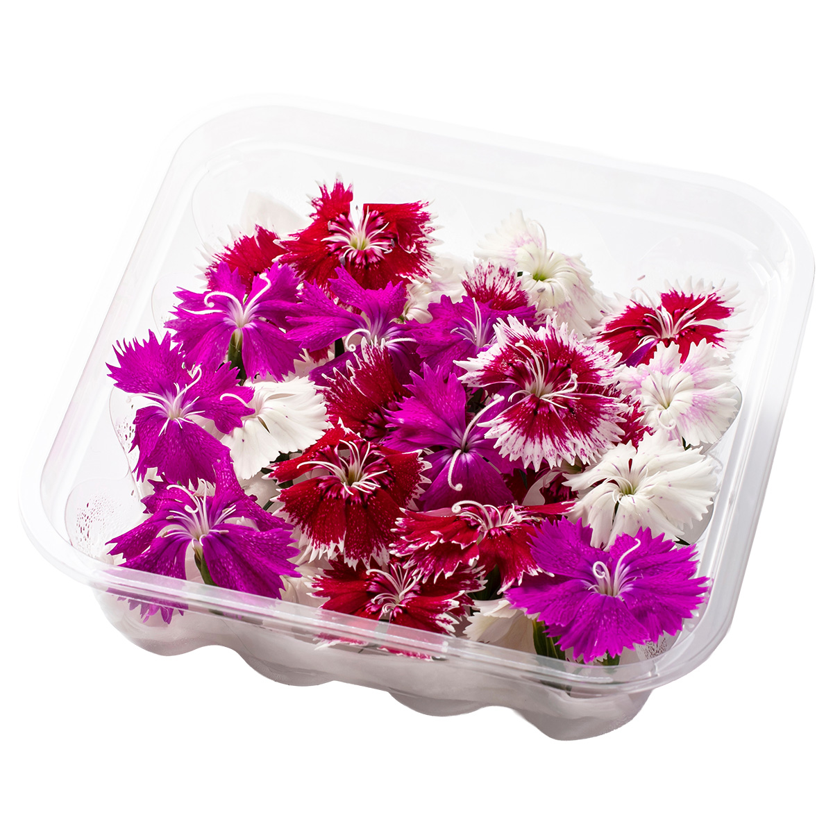 SANOKA / ナデシコ MIX 20輪