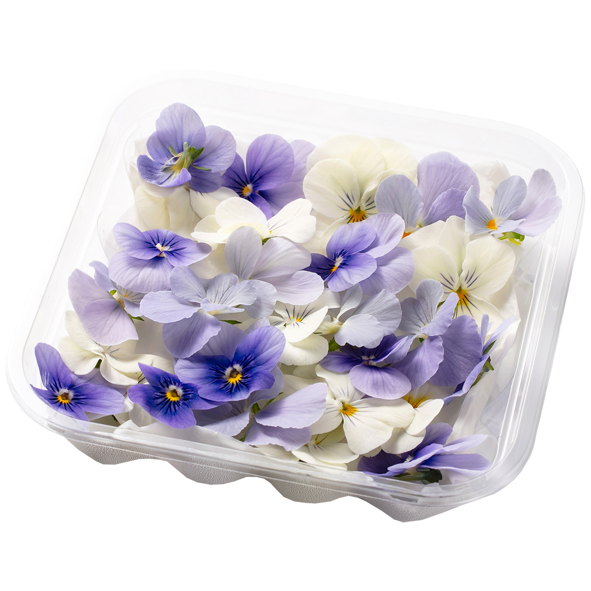 SANOKA / ビオラ クールMIX 20輪