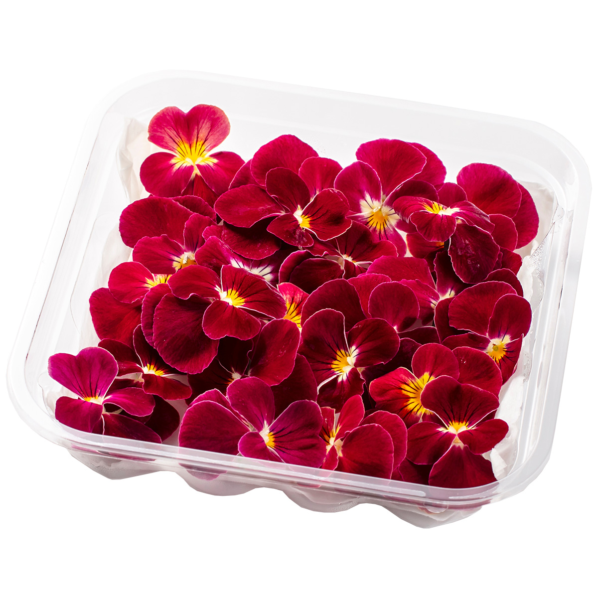 SANOKA / ビオラ スイートローズ 20輪