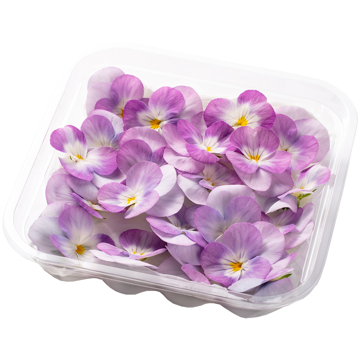 SANOKA / ビオラ スーパーソフトピンク 20輪