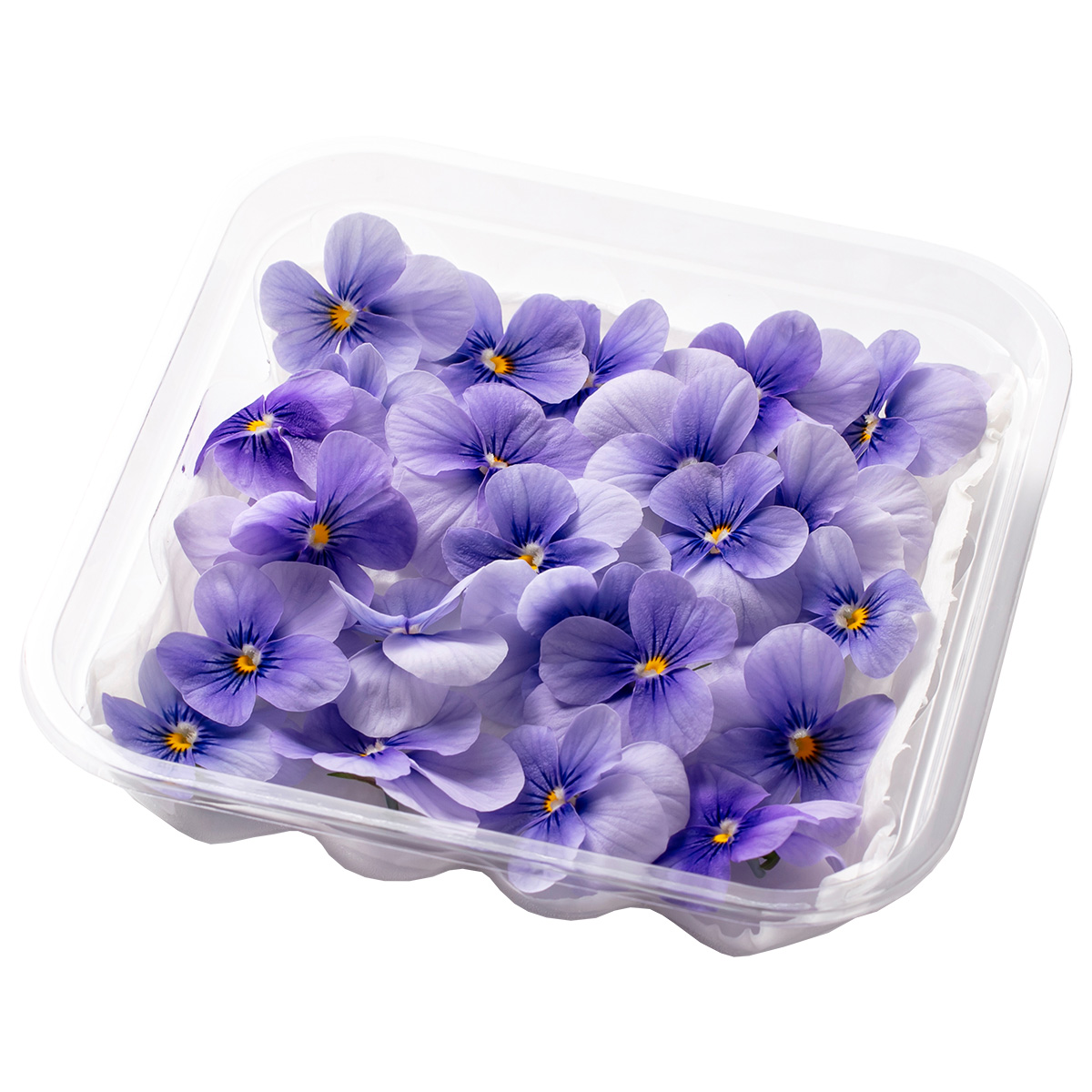 SANOKA / ビオラ クリアライトブルー 20輪