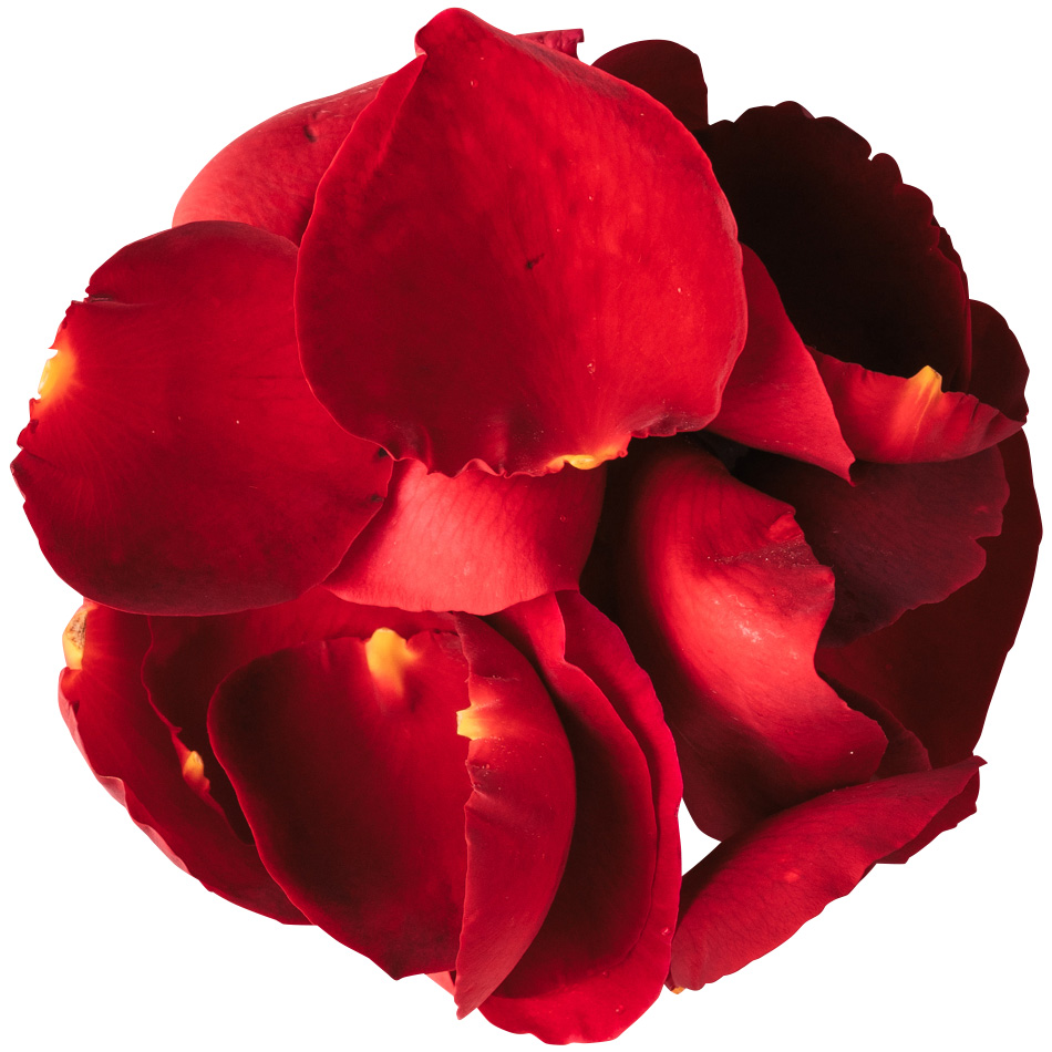 奥出雲薔薇園 / さ姫花びら 20g【強香性】