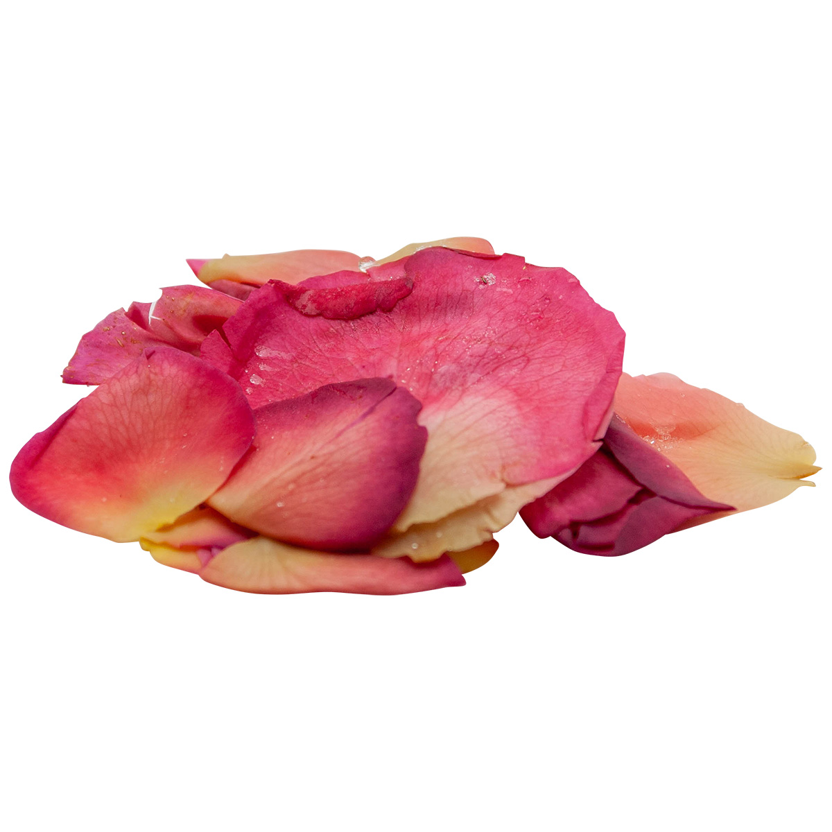 奥出雲薔薇園 / 冷凍 アップルロゼ花びら 100g