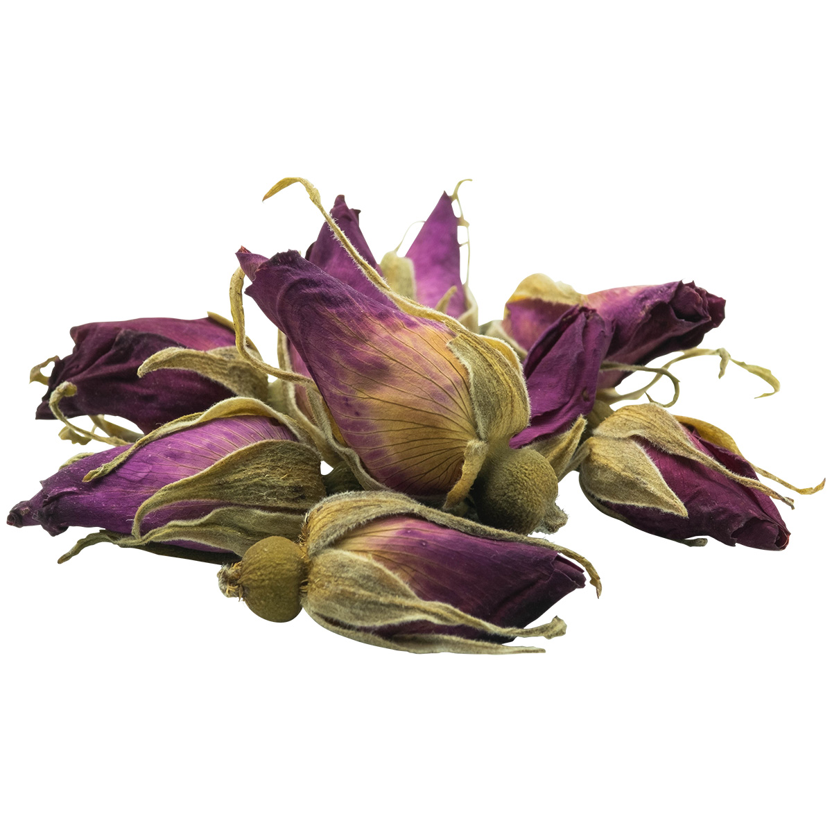 奥出雲薔薇園 / ドライ ハマナス