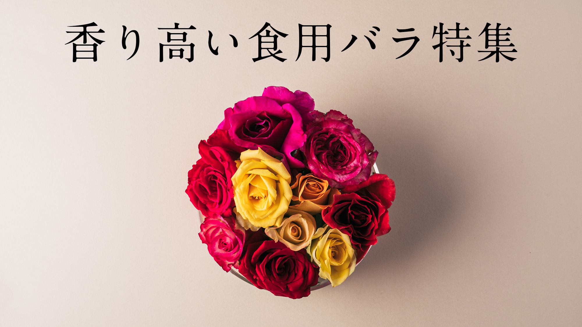 香り高いバラ特集