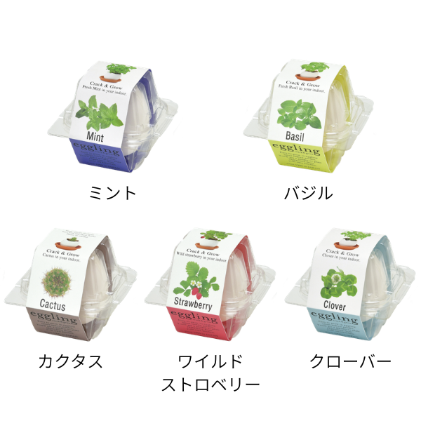 eggling CLEAR package　各5種類