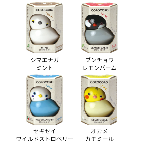 COROCORO bird　各4種類