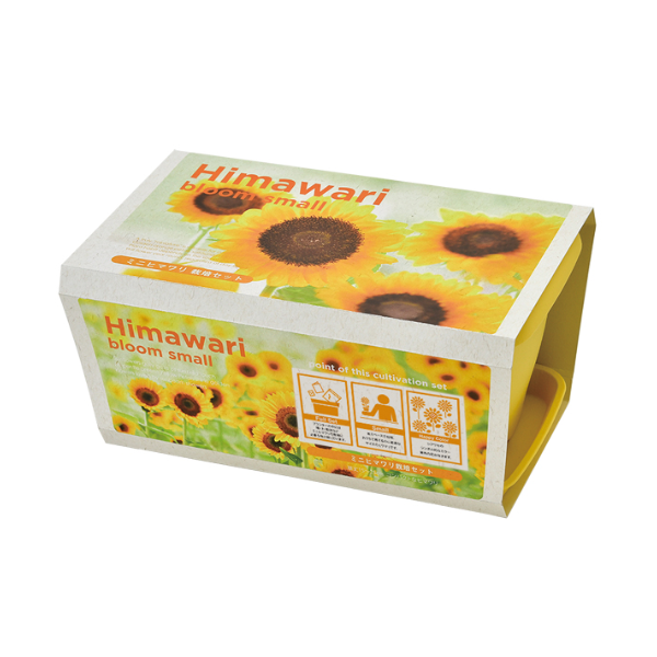 ENJOY PLANTER FLOWER　ミニヒマワリ