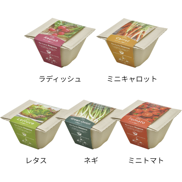 BAGASSE GREEN　各5種類