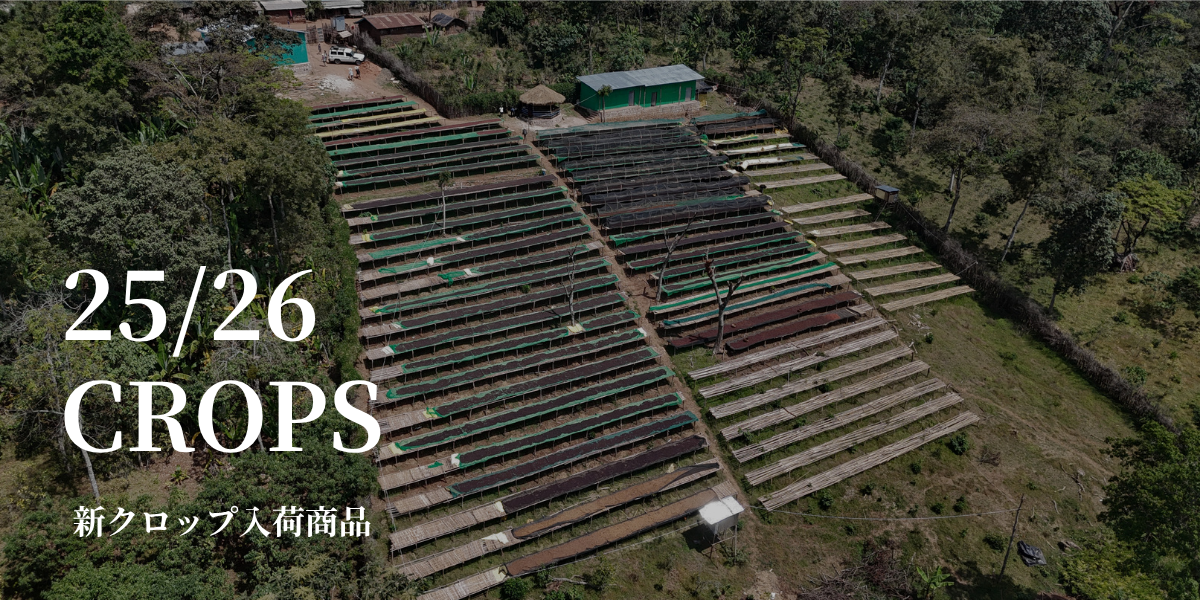 25/26 crops 商品一覧