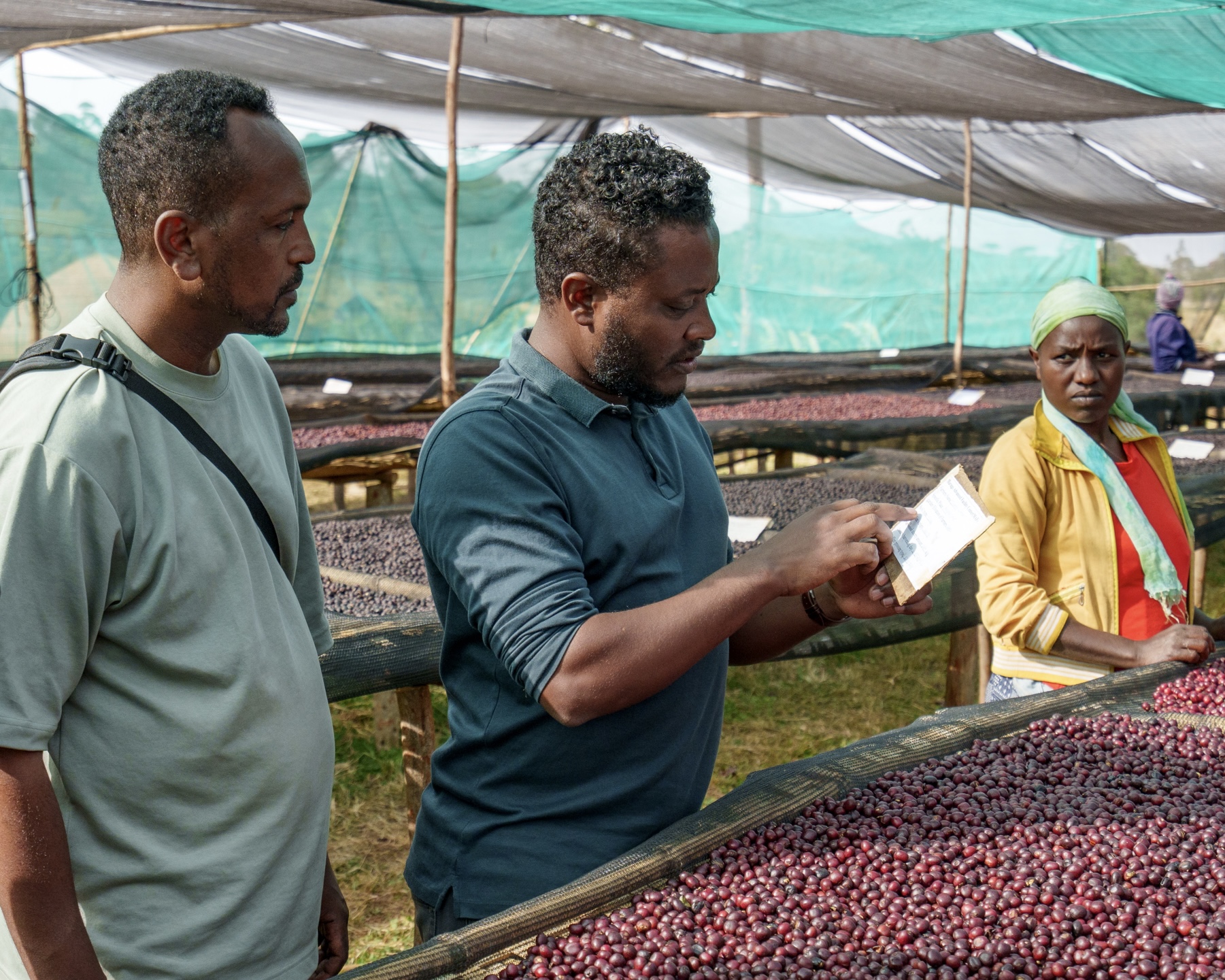ALO COFFEE Advanced Facility Center