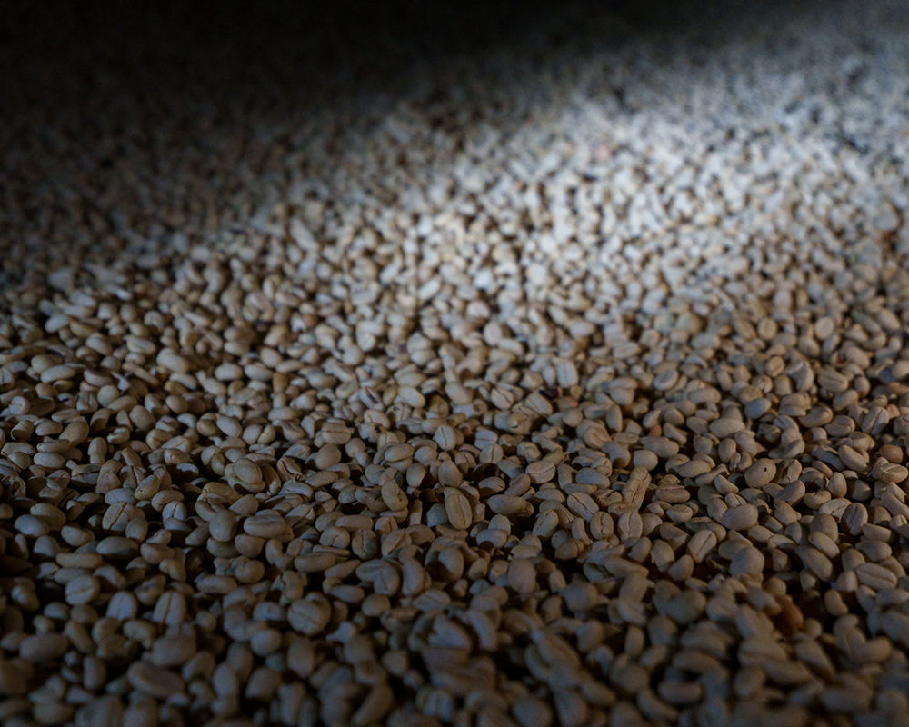 Tamiru Tadesse Alo Dark Room Fermentation Washed［24/25年クロップ］