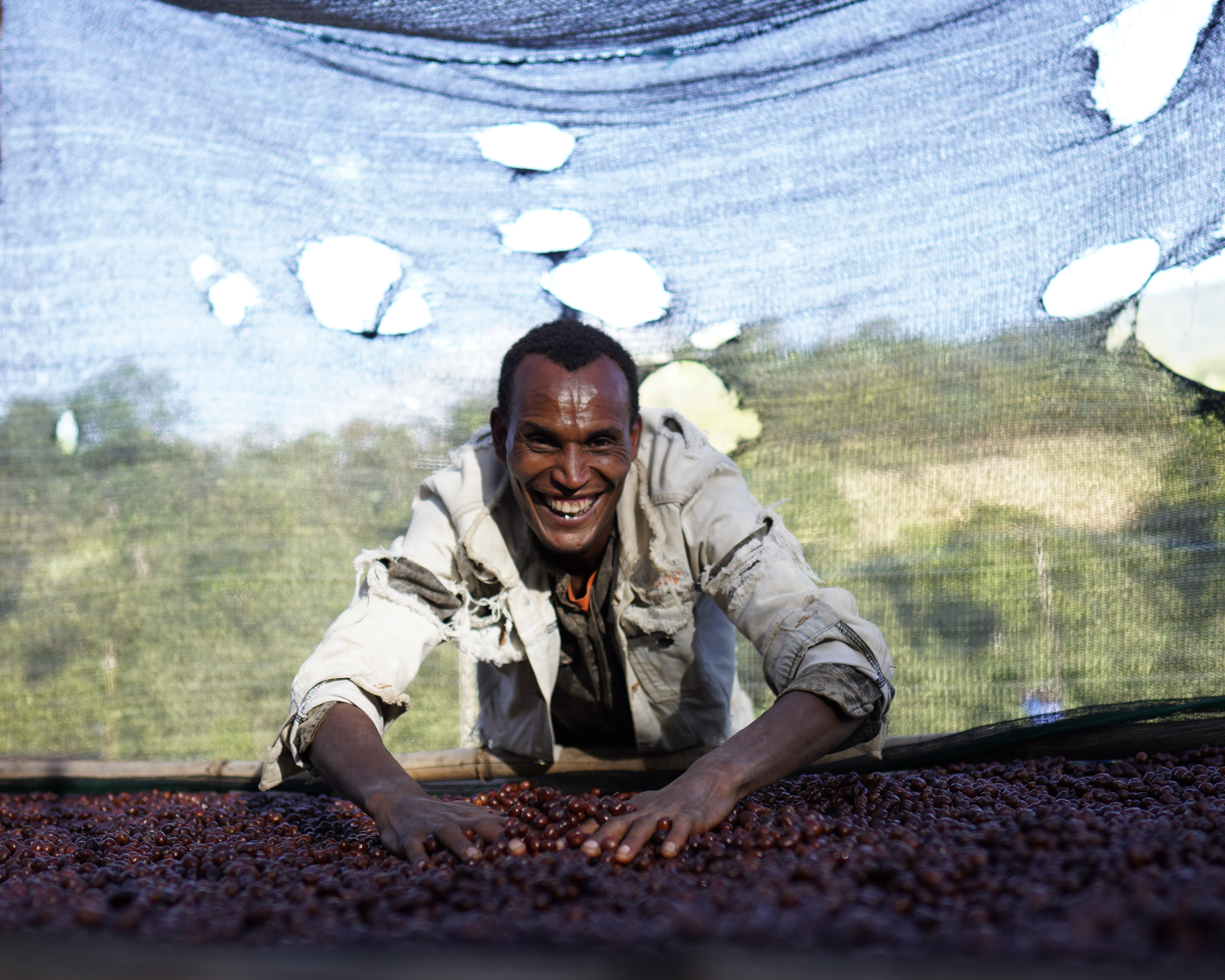 Kenean Dukamo Sidama Hamasho Natural［25/26crop］