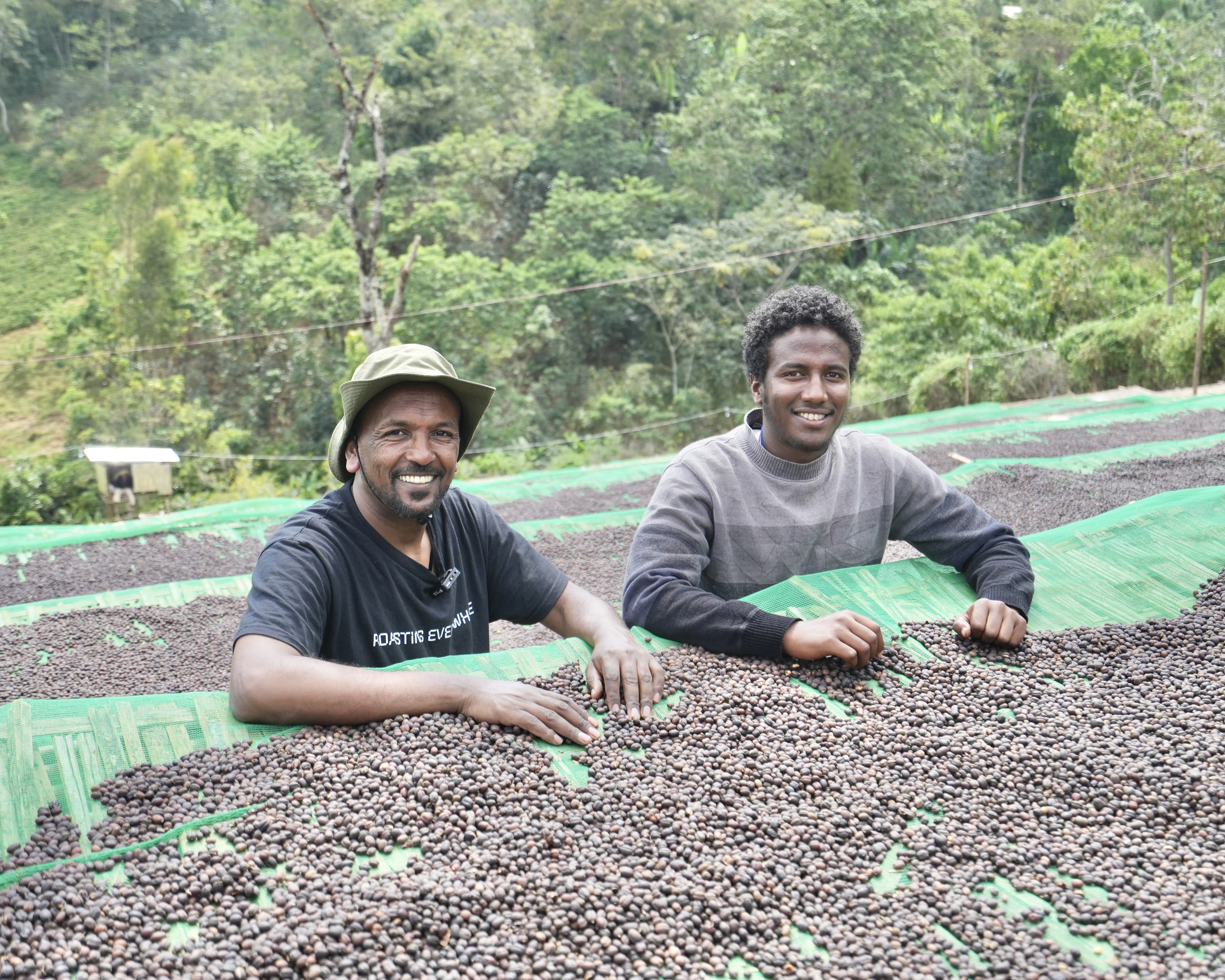 Yirgacheffe Haru Suke Natural［25/26crop］