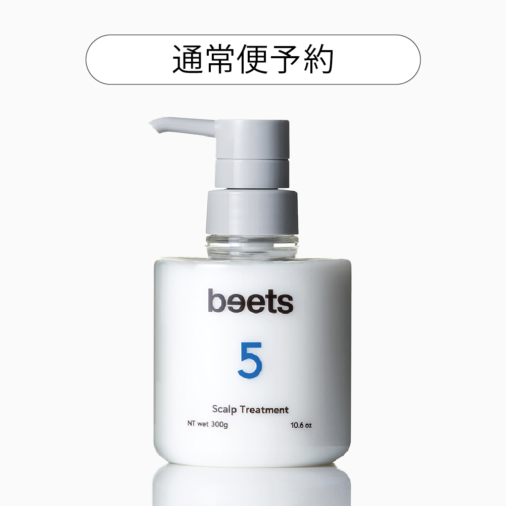 【!!10月初旬入荷予定!!】【通常便予約】beets5  スキャルプトリートメント 300g