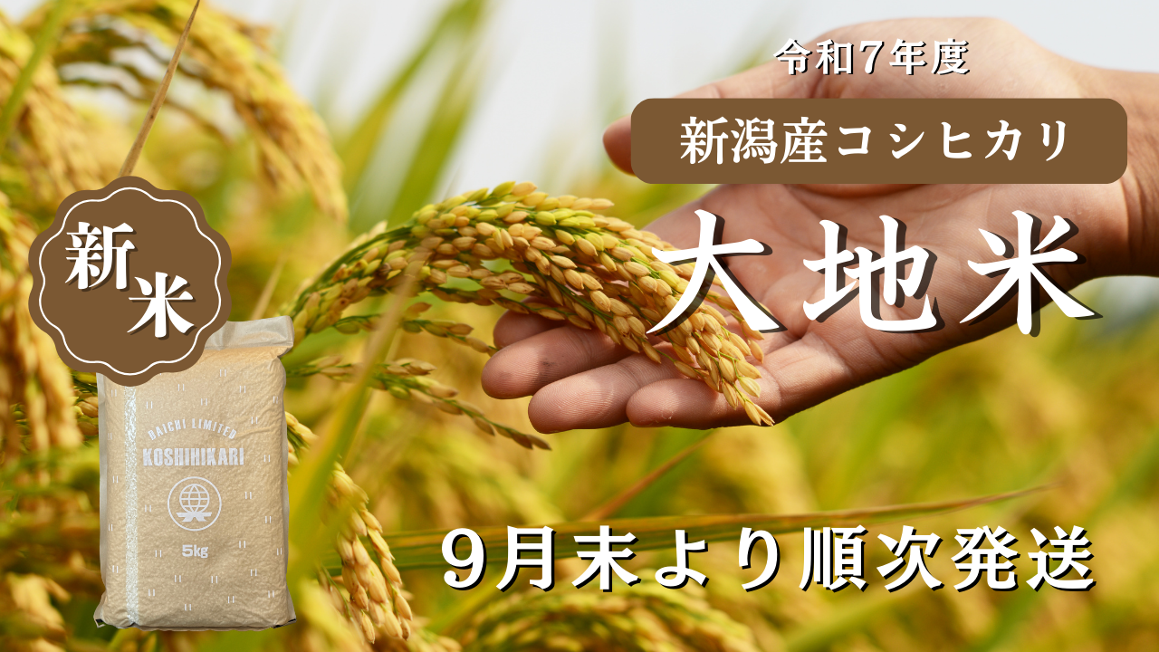 【新米】新潟コシヒカリ「大地米」9月末より順次発送