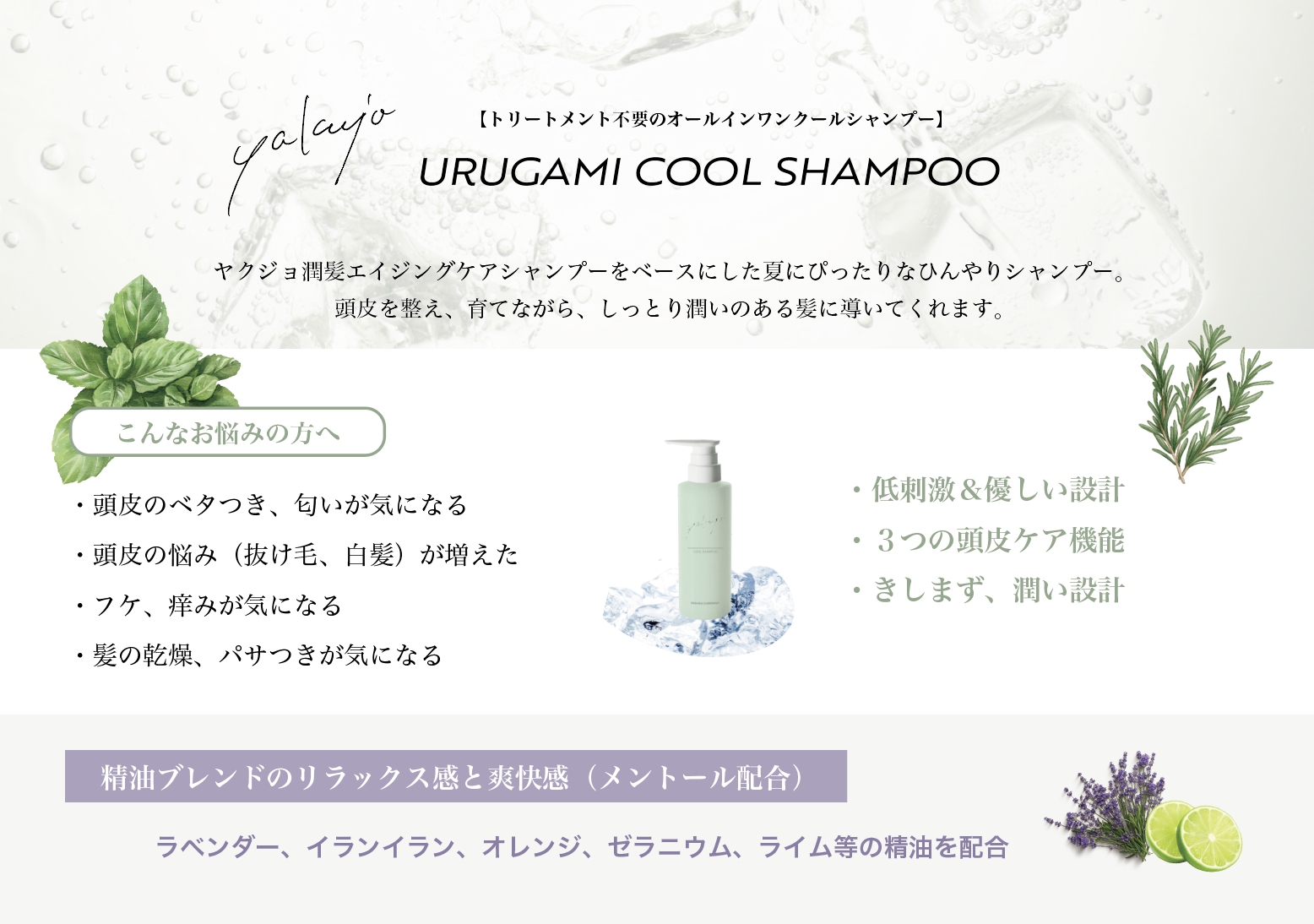 【パンフ】ヤクジョ潤髪クールシャンプー