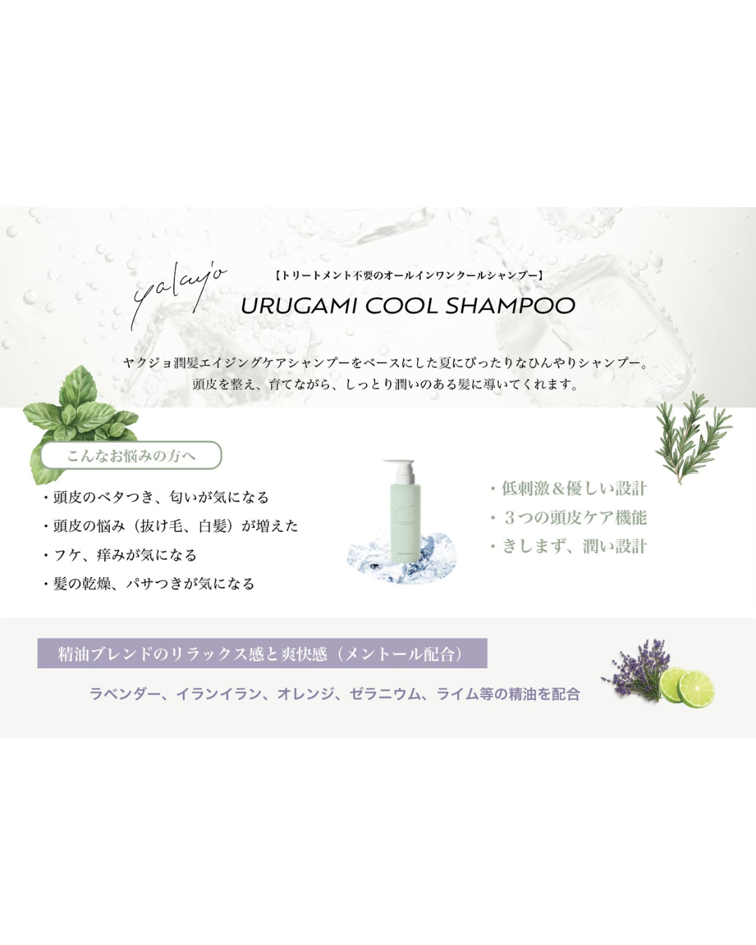 【パンフ】ヤクジョ潤髪クールシャンプー