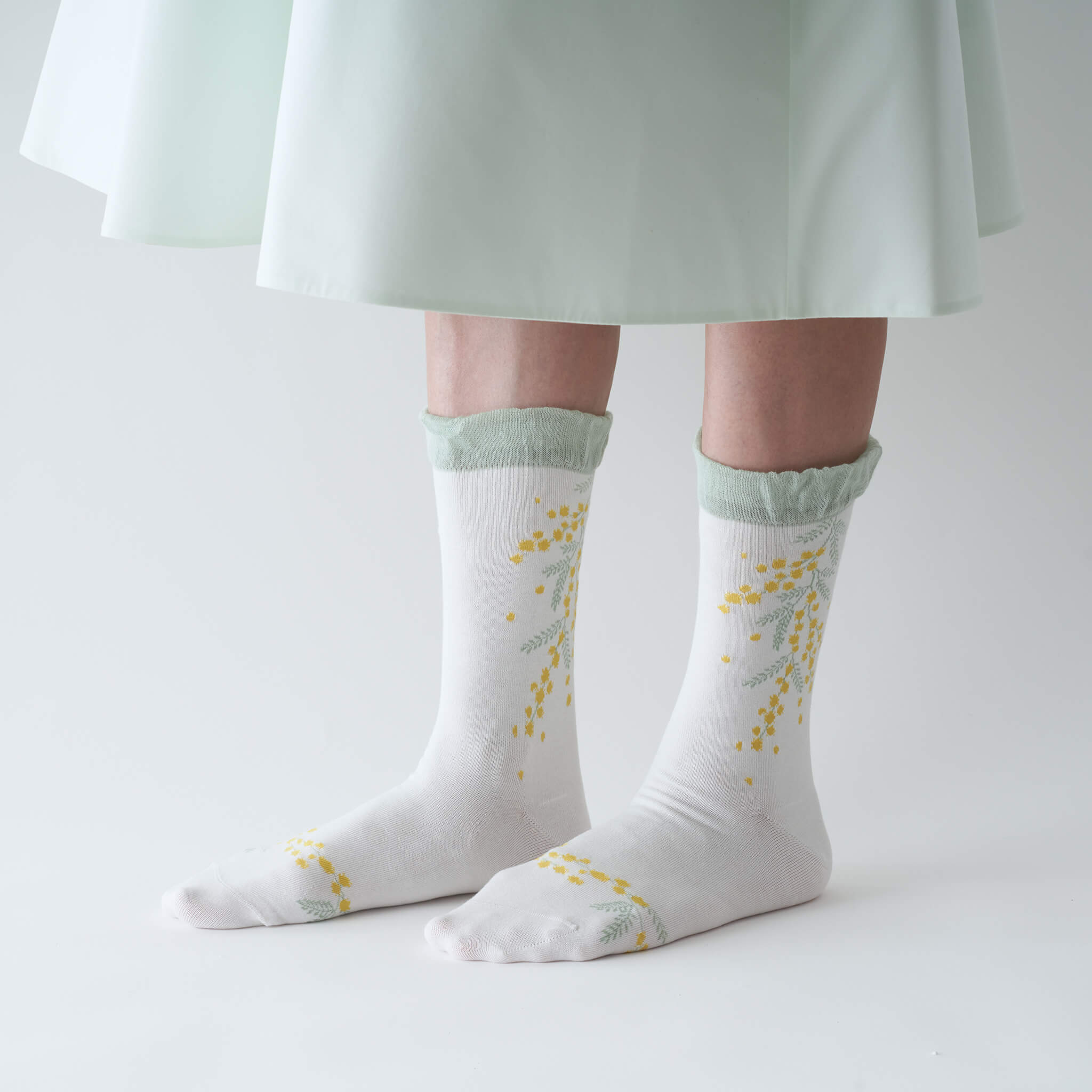 mimoosa　コットン　クルー　（3色）