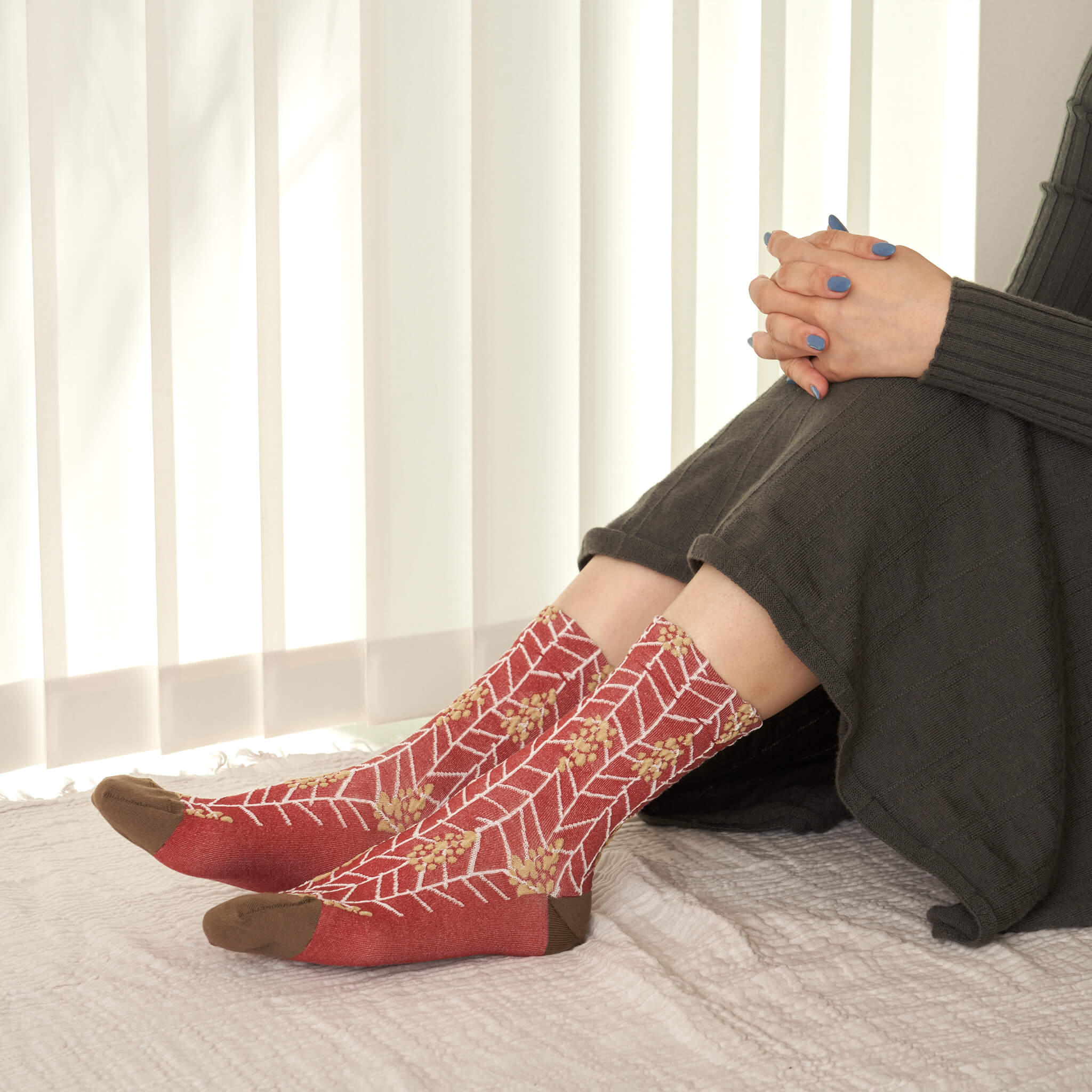 mimoosa/ミモザ　コットン　クルー　（3色）