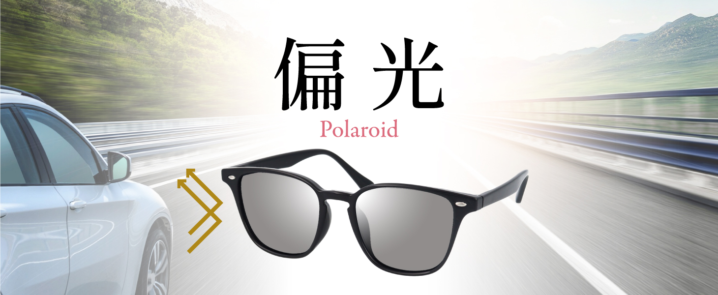 偏光サングラス --polaroid--
