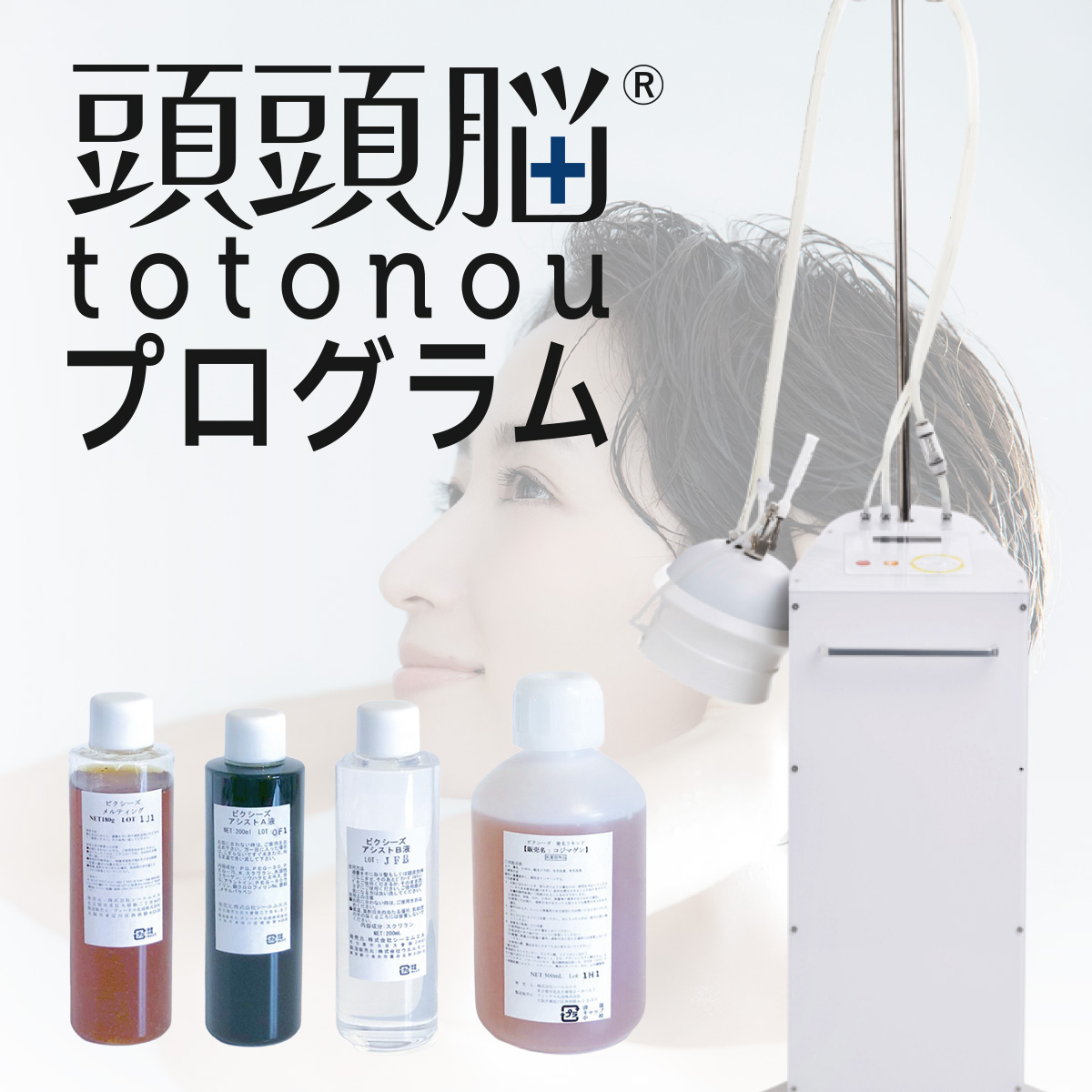 頭頭脳プログラム