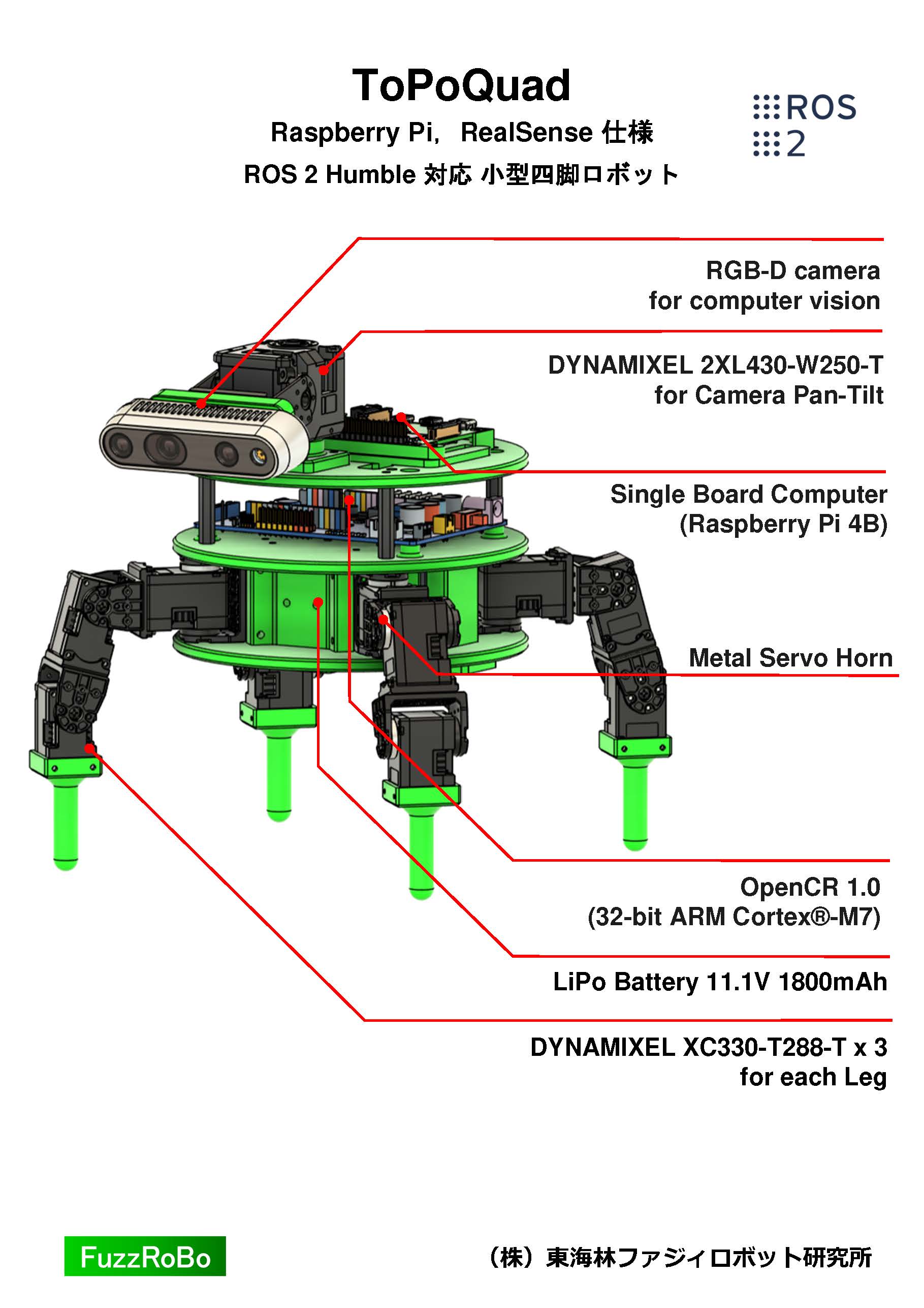 ToPoQuad
