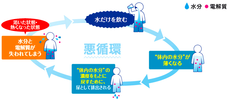 ■水だけの補給は悪循環に
