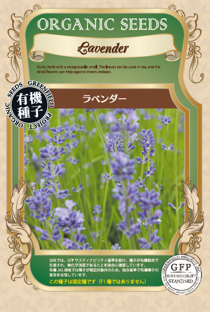 ラベンダー