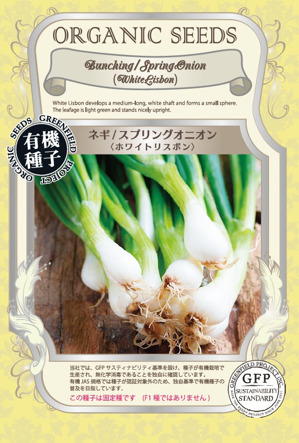 ネギ／スプリングオニオン＜ホワイトリスボン＞