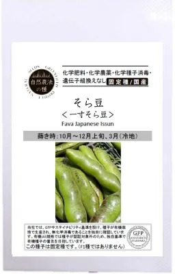 一寸そら豆