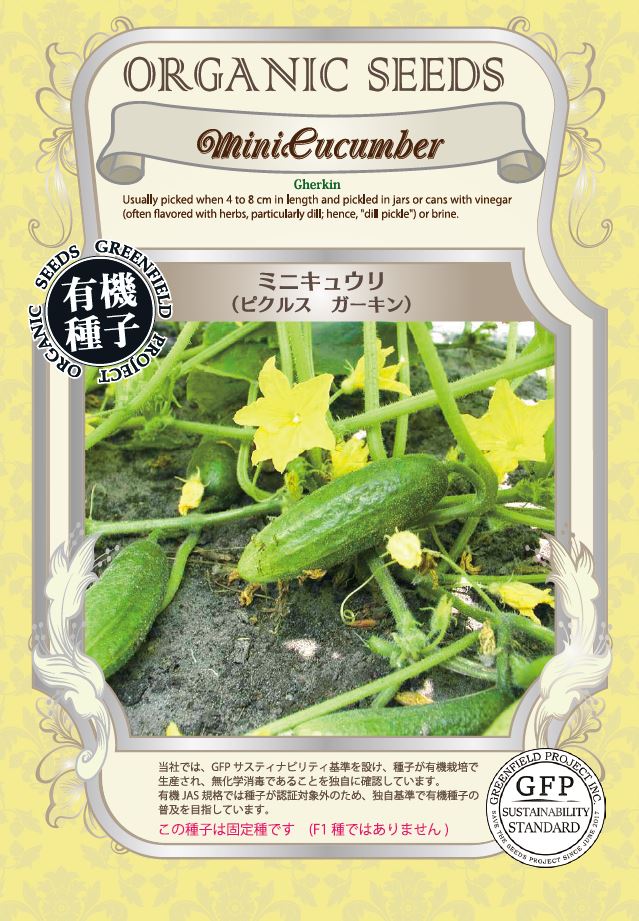 ミニキュウリ＜ピクルスガーキン＞