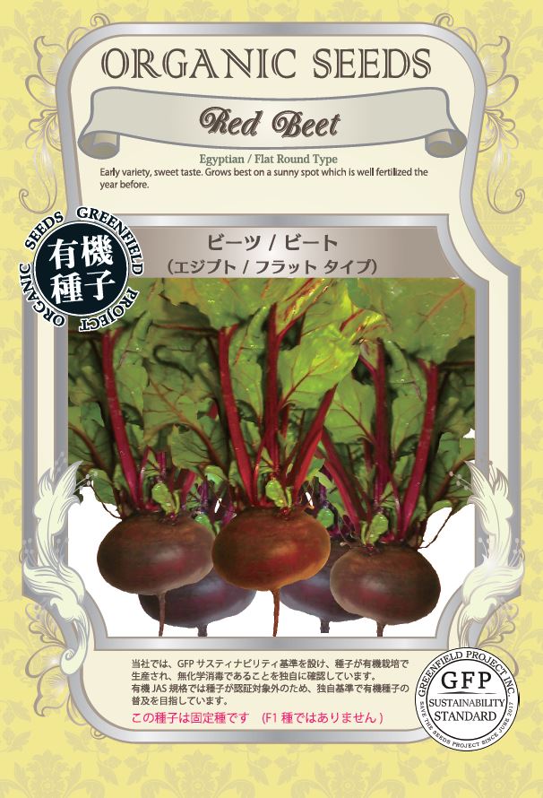 ビーツ／ビート＜エジプト／フラットタイプ＞