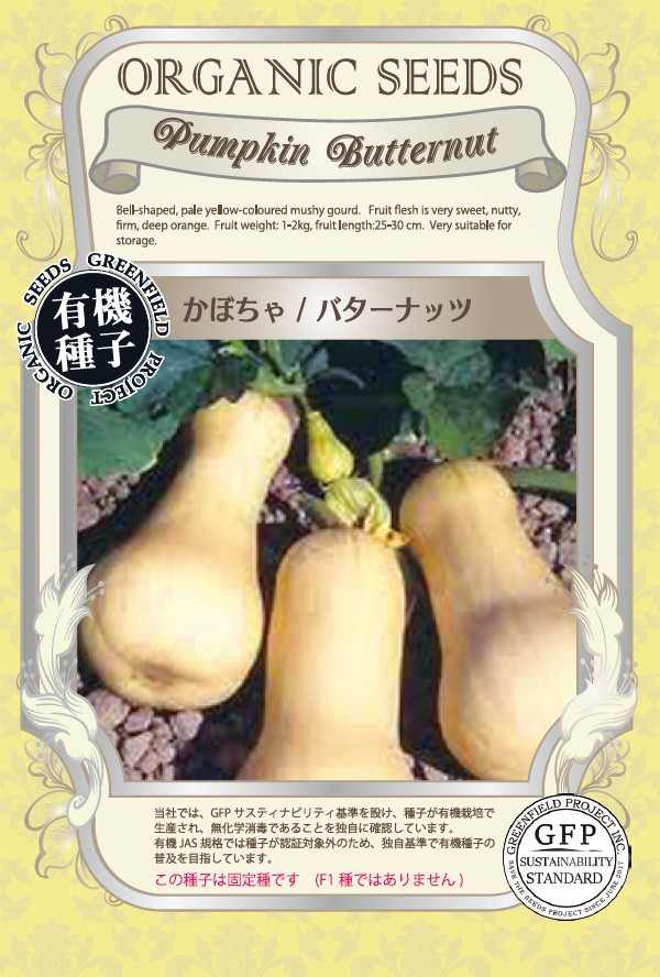 かぼちゃ／バターナッツ