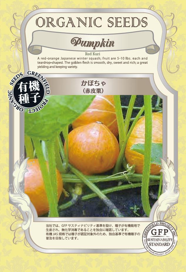 かぼちゃ＜赤皮栗＞