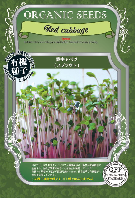 赤キャベツ＜スプラウト＞