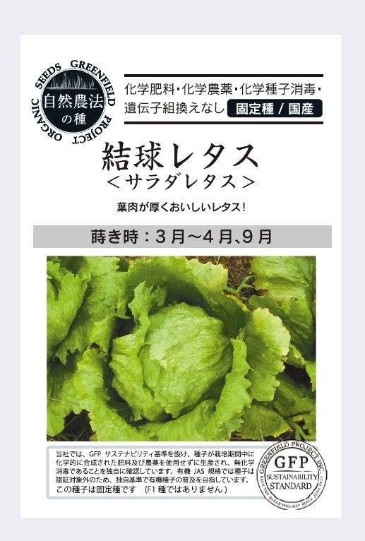 結球レタス ＜サラダレタス＞
