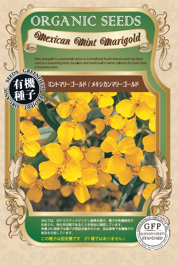 ミントマリーゴールド／メキシカンマリーゴールド