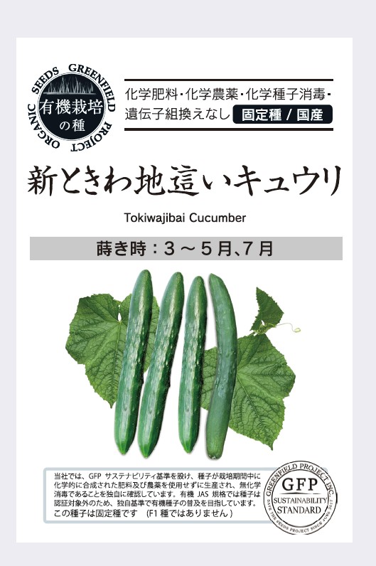 きゅうり／新ときわ地這いキュウリ