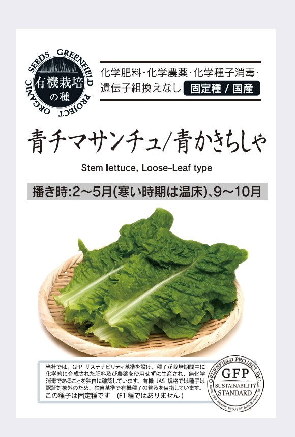 青チマサンチュ 青かきちしゃ