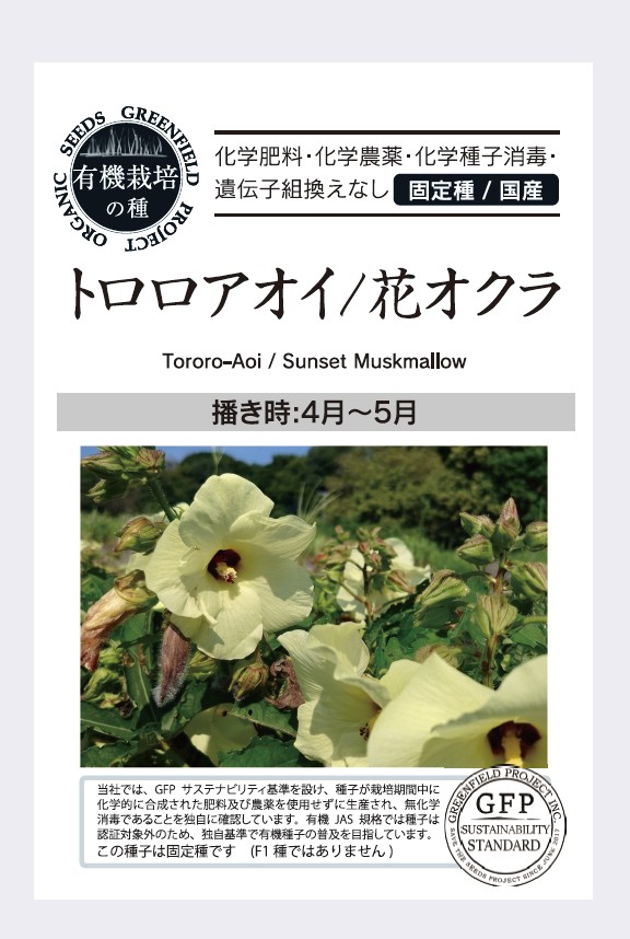 トロロアオイ／花オクラ