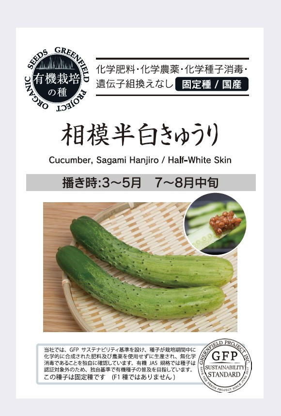 相模半白きゅうり
