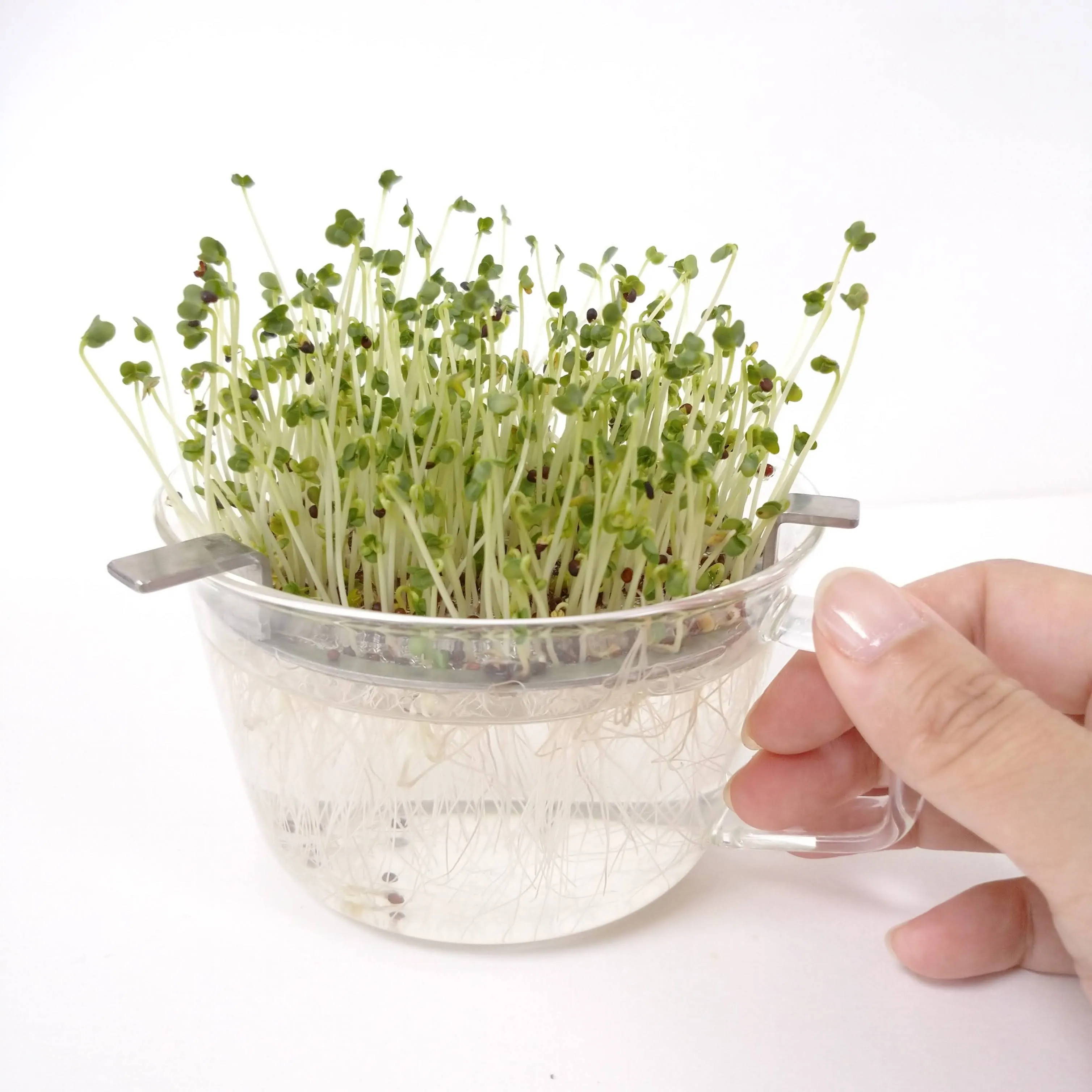 おうちでべジPremium