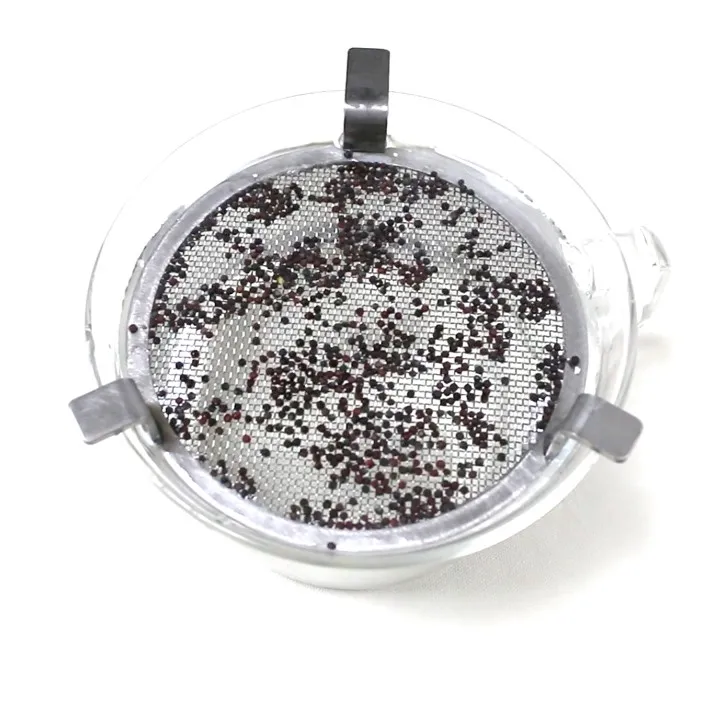 スプラウト栽培