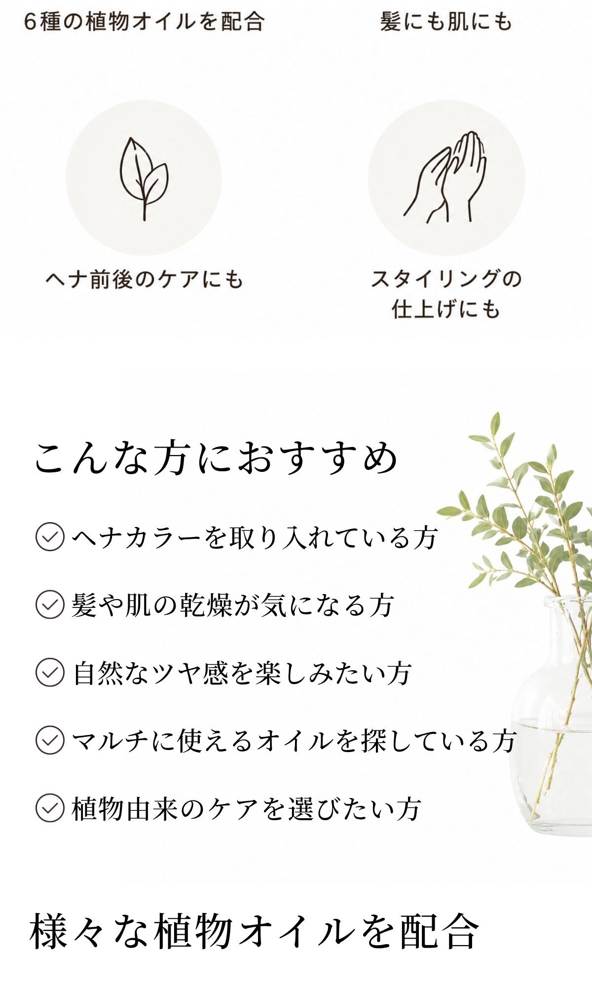 chicca 商品説明