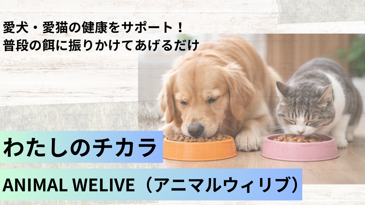 愛犬・愛猫の健康をサポート！「活動量」「皮膚・被毛」の維持に貢献します～ヒトでもおなじみの還元型コエンザイムQ10～