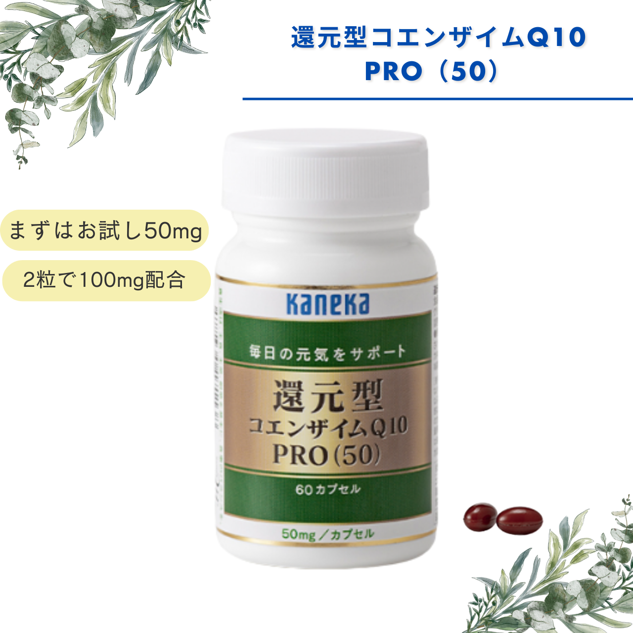 還元型コエンザイムQ10PRO（50）