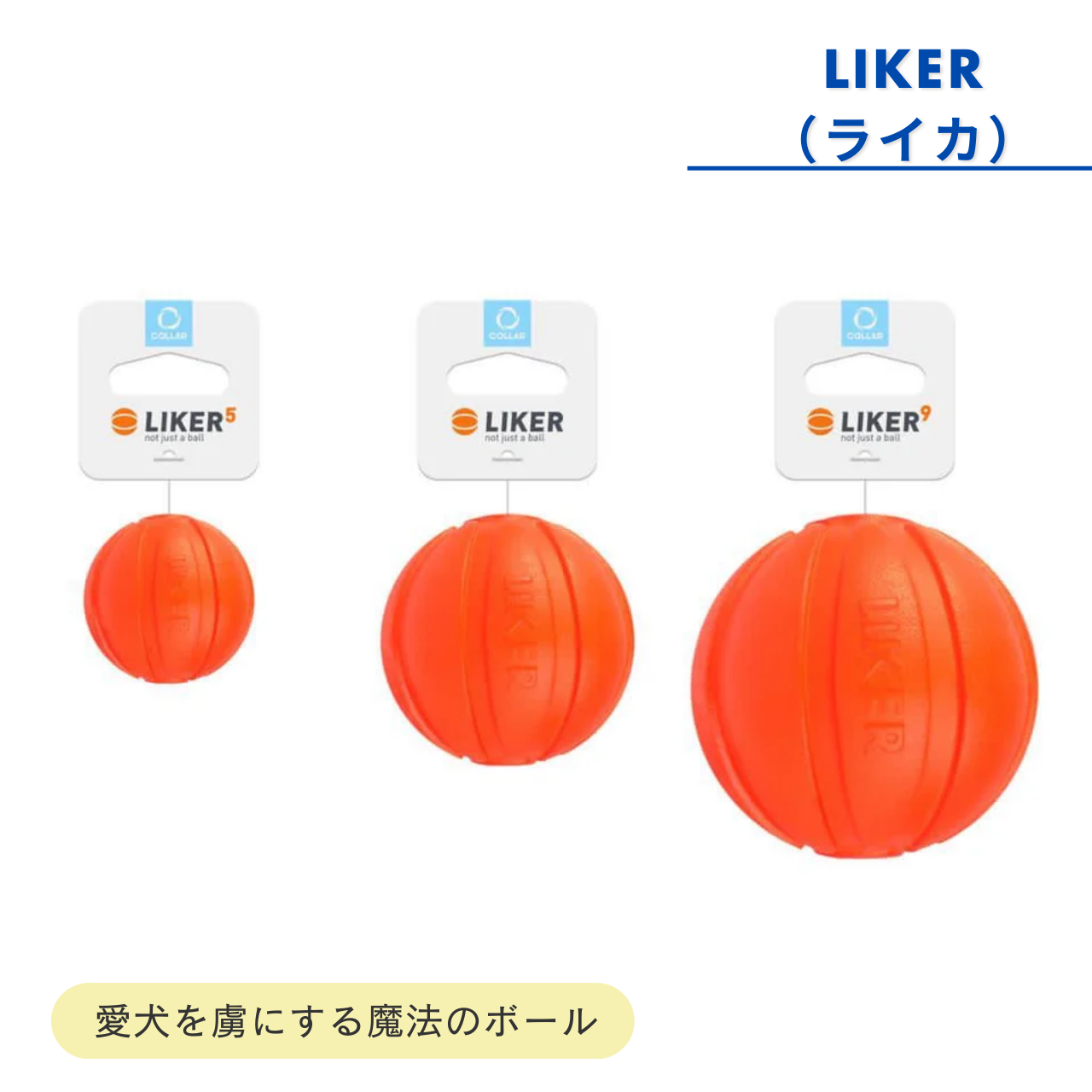 LIKER（ライカ）～愛犬を虜にさせるウクライナ生まれの魔法のボール ～